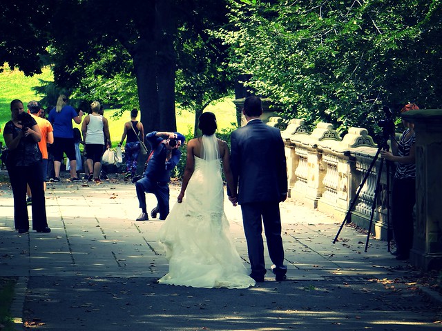 Central Park: Wedding Pictures