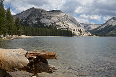 Tenaya Lake - Yosemite national park