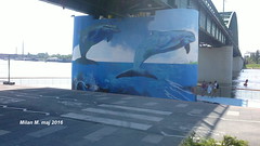 Mural Delfini na stubu Satari savski most (Tramvajskog mosta), Beograd maj 2016