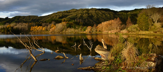 Lake Tutira Reflections, New Zealand