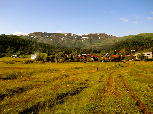 mountains georgia meadow bakuriani
