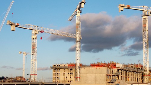 Cranes | by oatsy40