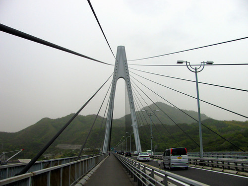 The Cables that Stay