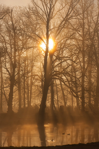 IMG_8907 by chemist72 (Pascal Teschner), fog morning sunrise castle groningen outdoor water park reflection canon40d slochteren borg