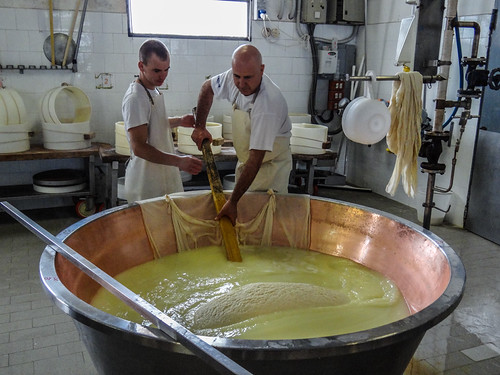 Making Parmesan, Emilia Romagna, Italy