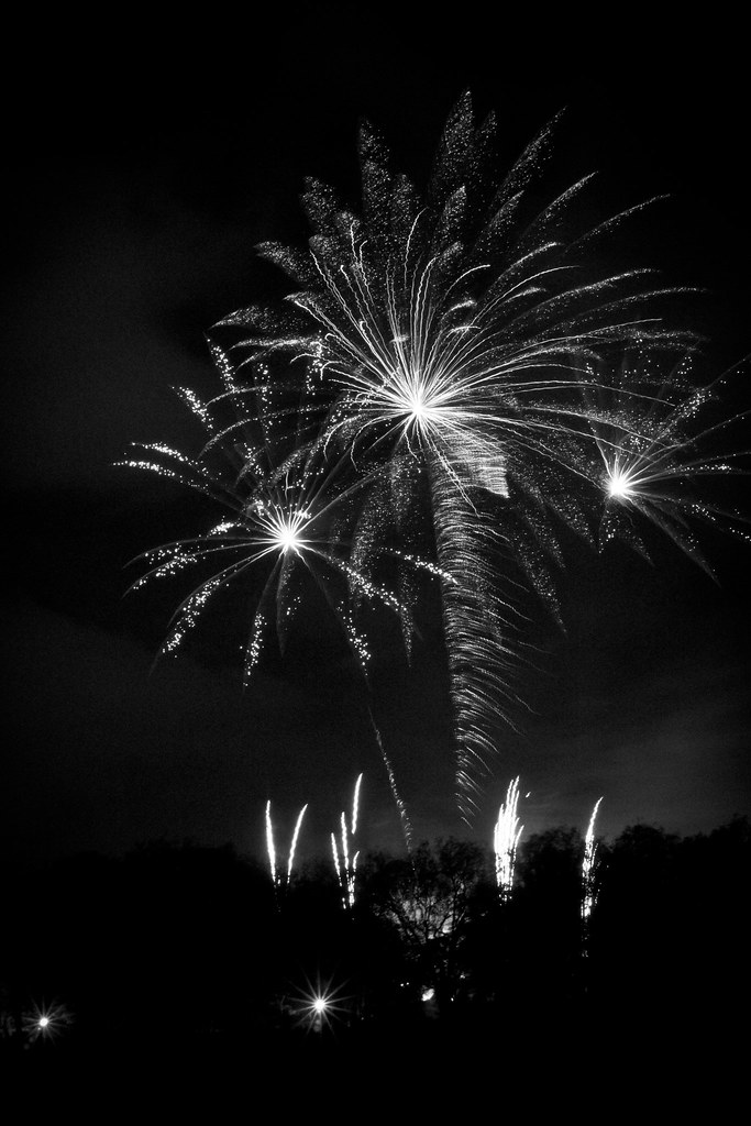 Sefton Park Fireworks B&W | Gregg Pearcey | Flickr