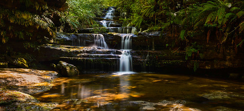 morning water waterfall australia bluemountains newsouthwales hazelbrook cpl