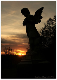Angel at Sunset