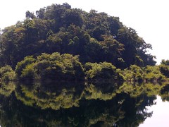 Reflección de la Laguna, Reserva Metzabok (Lacandonas), Chiapas, Mexico
