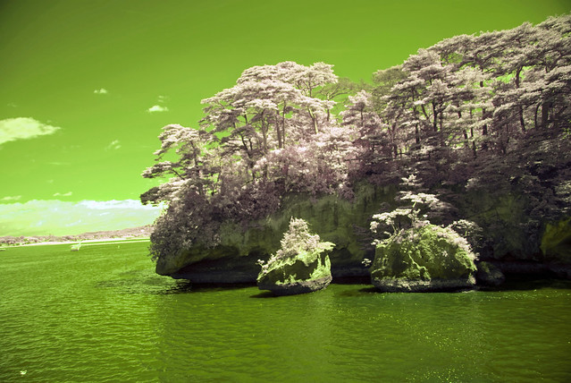 Matsushima Island In Infrared