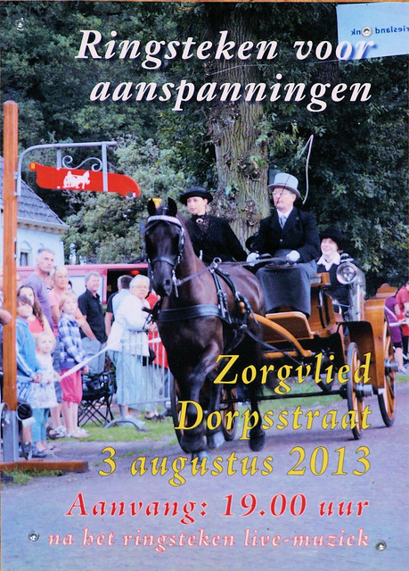 Ringsteken in Zorgvlied, Drente (NL)