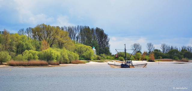 Die Weser bei der Insel Harriersand
