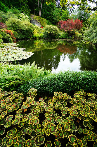 life travel flowers light people lake canada reflection tree tourism nature water colors garden walking lens relax island pond bc view zoom britishcolumbia sony wideangle visit victoria tourist vancouverisland alpha butchartgardens popular visitor f4 hdr attractions verticle brentwoodbay vantagepoint oss sunkengarden nex greatervancouver mirrorless 1018mm nex6 sel1018