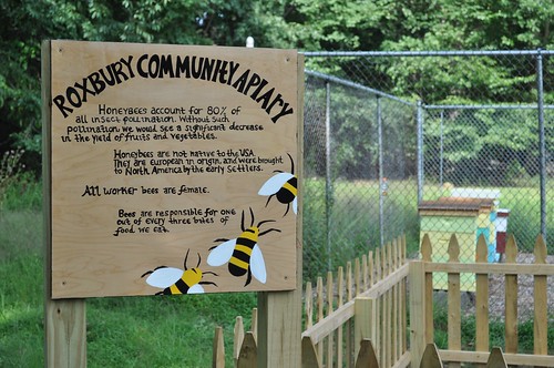garden newjersey community education action environmental bee honeybee outreach beekeeping roxbury apiary beekeeper