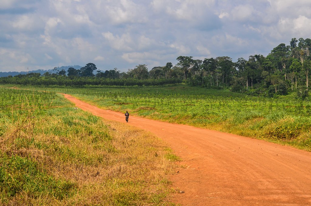 Kumba Tombel road, Cameroon | Taken on 11 November 2013 in C… | Flickr