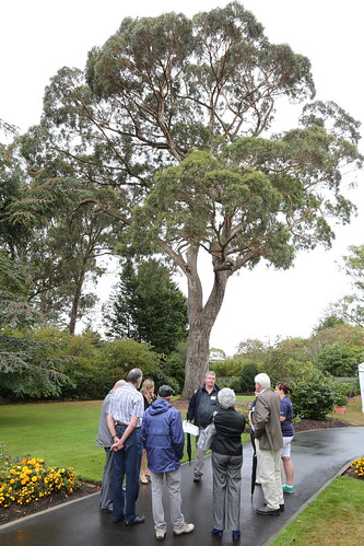 Alumni Reunions - 1961 -1964