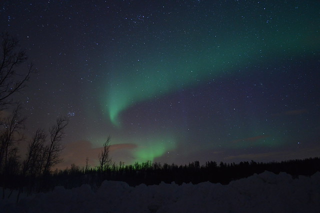 Northern Lights (Aurora Borealis), Rossfjordsvatnet, Tromsø, Langnes, Northern Norway, Arctic Circle