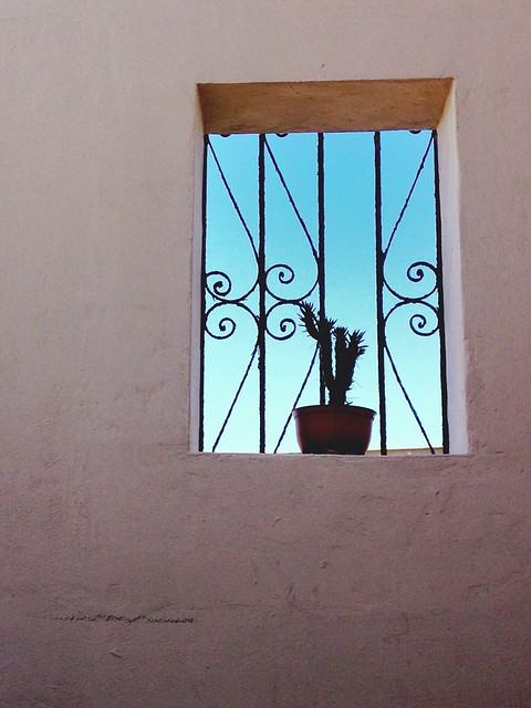 Mexican Window