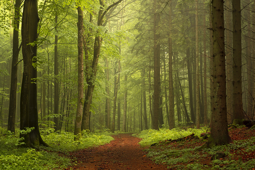 Nature | Flickr