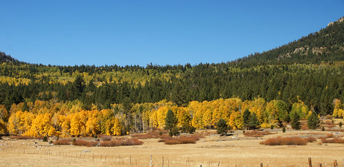 california color fall eldoradocounty hopevalley northrencalfornia