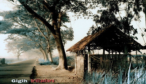 landscape surakarta phonephotography fotografiponsel flickrandroidapp:filter=none lenovophotography