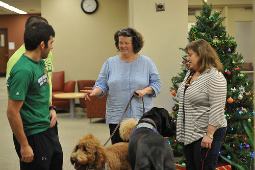 Therapy Dogs at BW - Fall 2013
