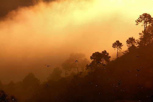 Apocalypse now | by Ma Poupoule