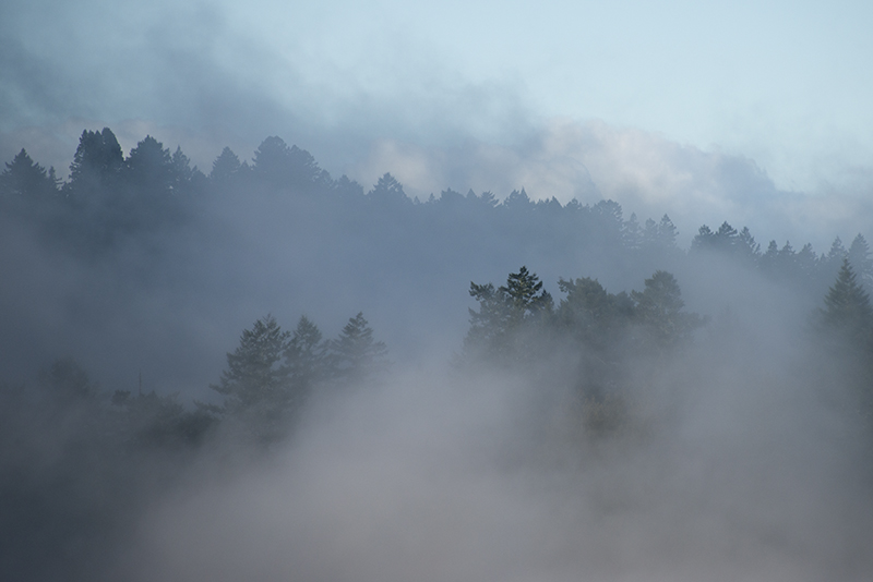 Image result for parting fog