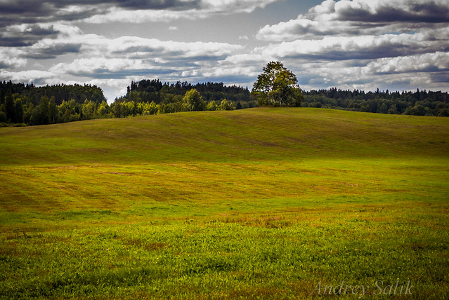 Gorgeous framing and view on Explore !! idyllic rural landscape. field, forest, clouds Родные просторы.