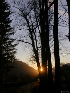 Sonnenuntergang im Bergener Moos