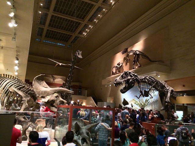 Smithsonian Dinosaur Hall - April 2014