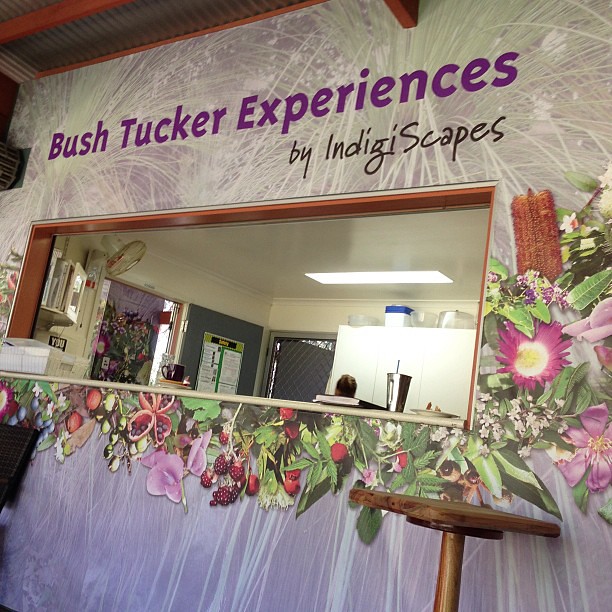Bush Tucker Experiences at #indigiscapes