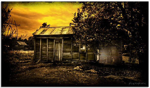 house tree texture shed vacant watertank deserted dilapidated rundown fotografdude sonyrx100