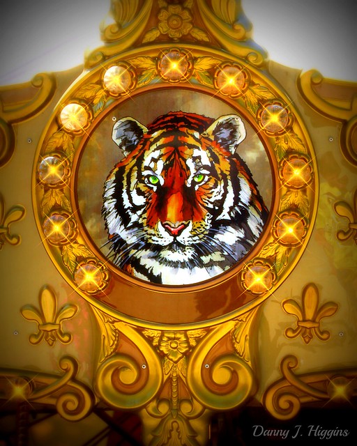 A Painted Carousel Tigers Face.   IMG_3091