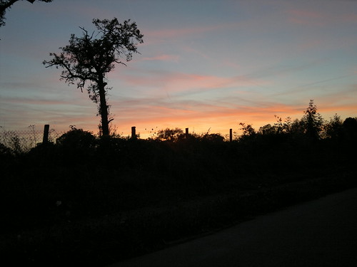 2013-09-21-2971 by Matte Crystaljuggler,