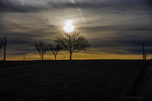 levé de soleil pour les arbres by FranckyDesign!!!, crezilles