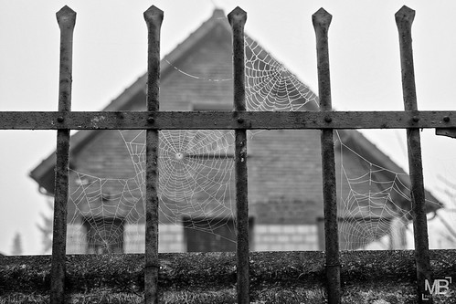 les toiles n&b DxOFP Ilford delta 100 L1004158 | by mich53 - thank you for your comments and 9M view