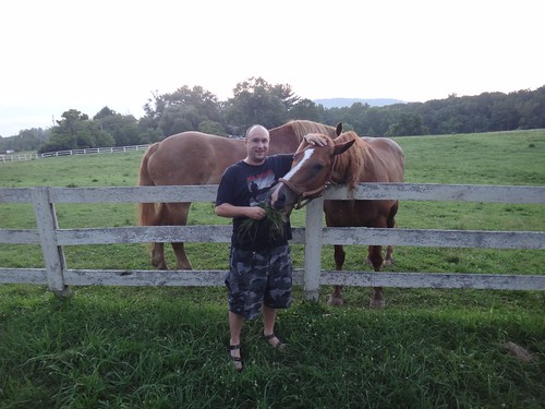 horses house animals virginia feeding charlottesville keswick lafourche 2013