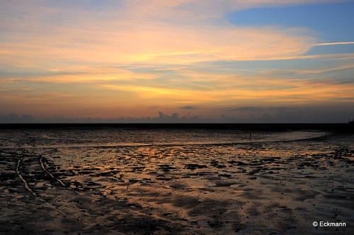 104-DSC_8887 by Nephentes Phinena ☮, wattenmeer büsum