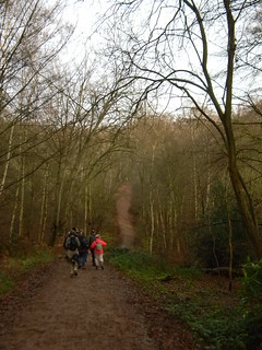 In Epping Forest Loughton to Epping