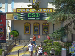 Photo 18 of 25 in the Day 6 - Six Flags Magic Mountain gallery