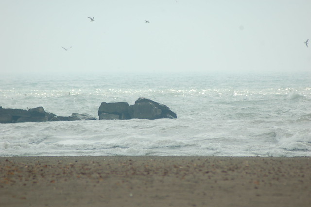 Rocks & Waves & Seagulls