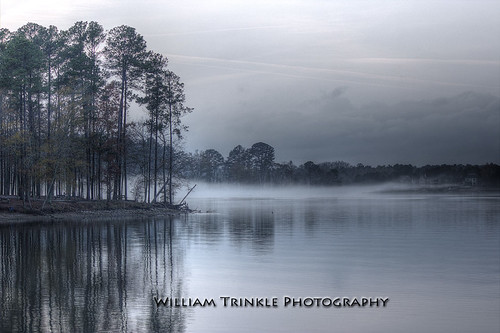 Rolling Fog | by William Trinkle