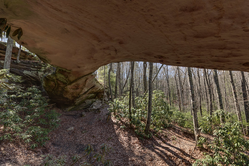 Pickett State Park Natural Arches