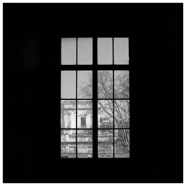 Window // March 2017 // London