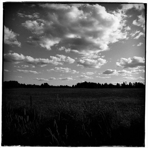 summer bw square blackwhite noiretblanc arbres été nuages champ carré roberval lacstjean iphone4 iphoneography iphoneographie applicationaltphoto