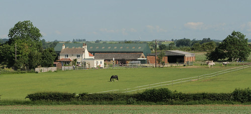 uk england horses canon buildings landscape countryside farm lincolnshire