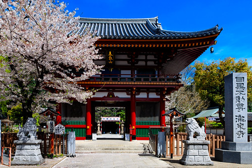 2017 spring april japan tokyo meguro meguroward city street outdoor landscape temple architecture building plant tree flower cherry blossom cherryblossom someiyoshino yoshino nikon d7000 sigma 1770mm f284 dc macro os hsm sigma1770mmf284dcmacrooshsm nikonclubit