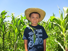 posing in the corn fields
