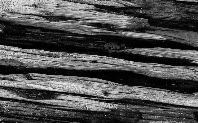 Weathered wood at Felixstowe #7